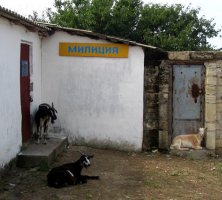 3354848xit.jpg