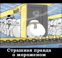 post_396_1103496906.jpg