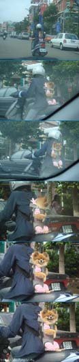 88a863b275cee8bb5ac16593805cd8ae_full.jpg