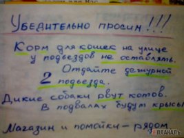 8c41c3c9c5801a7376a35d2847be670b.jpg