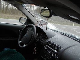 01_ford_63.jpg