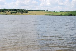 DSC_0264.JPG