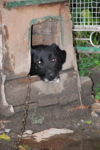 DSC_0999.JPG
