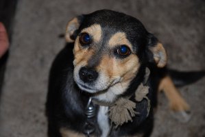 DSC_1003.JPG