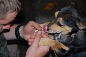 DSC_1008.JPG
