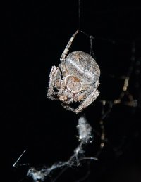 DSC_07641.jpg