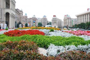 DSC_1083.JPG
