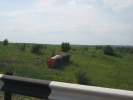 IMG_4275.JPG