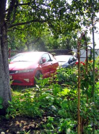 IMG_0038_2.jpg