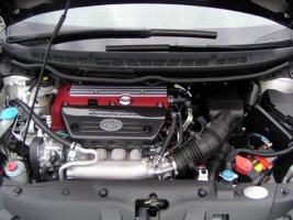 ImageFromDB5.jpg