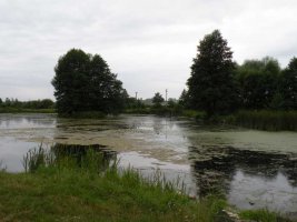DSCN0615.JPG