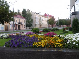 DSCN0508.JPG