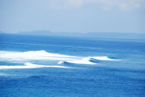 DSC_0779________________.JPG