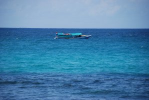 DSC_1312________________.JPG