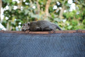 DSC_1828________________.JPG