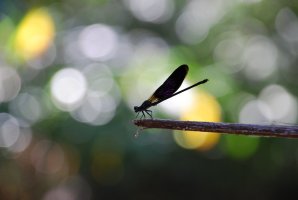 DSC_0514________________.JPG