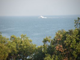 DSCN1127.JPG