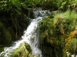 DSCN1418.JPG