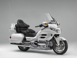 Goldwing.jpg