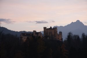 IMG_3533.JPG