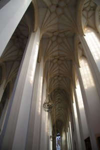 IMG_3716.JPG