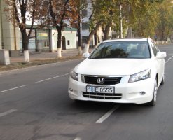 IMG_0288.jpg