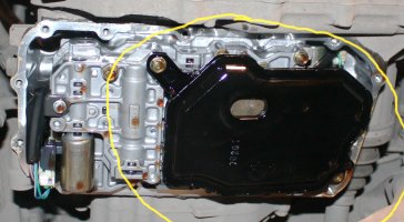 44.jpg
