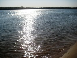 IMG_0893.JPG