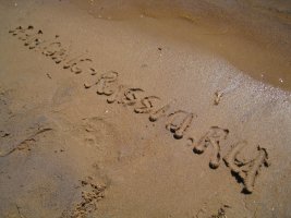 IMG_0848.jpg