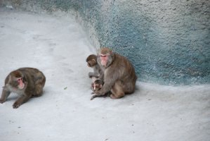 DSC_0010.JPG