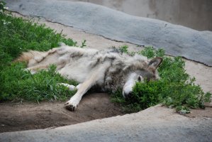 DSC_0105.jpg