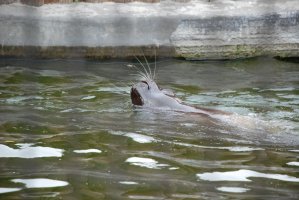 DSC_0134.jpg