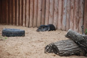 DSC_0135.jpg