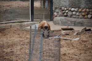 DSC_0141.jpg