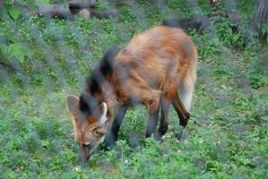 DSC_0182.jpg