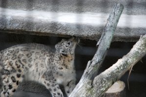 DSC_0189.jpg