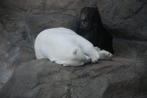 DSC_0358.jpg