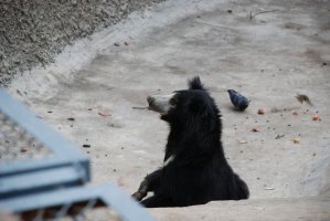 DSC_0477.jpg