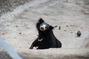 DSC_0480.jpg
