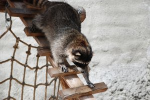 DSC_0025.jpg