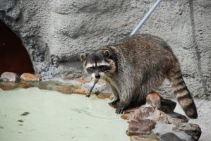 DSC_0029.jpg