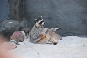 DSC_0051.jpg
