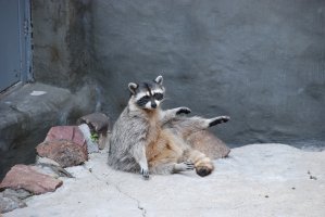 DSC_0052.jpg