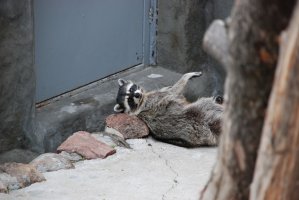 DSC_0063.jpg