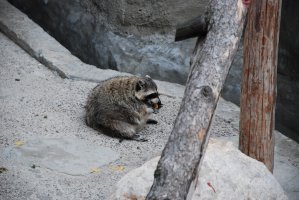 DSC_0312.jpg