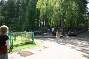 IMG_7674.jpg