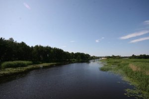 IMG_7708.jpg