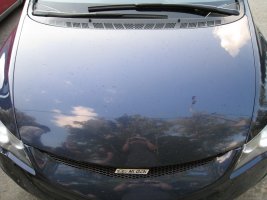 IMG_1036.jpg
