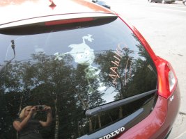 IMG_1046.jpg