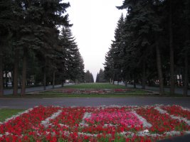 IMG_1073.jpg